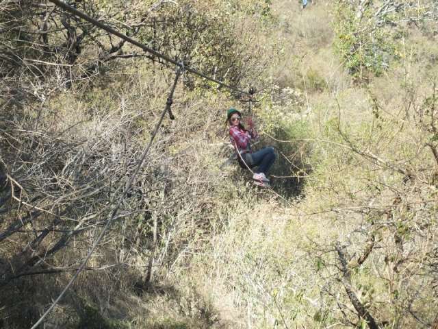 Vuela en canopy